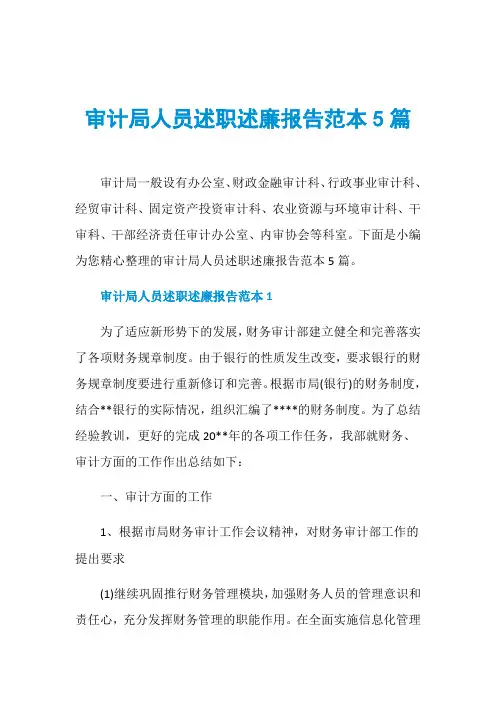 审计局人员述职述廉报告范本5篇