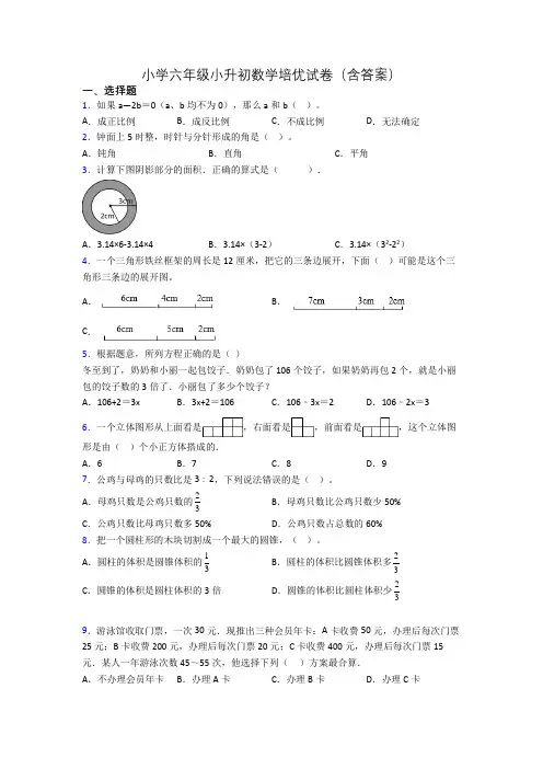 小学六年级小升初数学培优试卷(含答案)