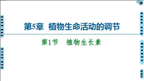 第5章 第1节 植物生长素 课件 【新教材】人教版高中生物选择性必修