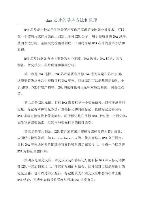 dna芯片的基本方法和原理