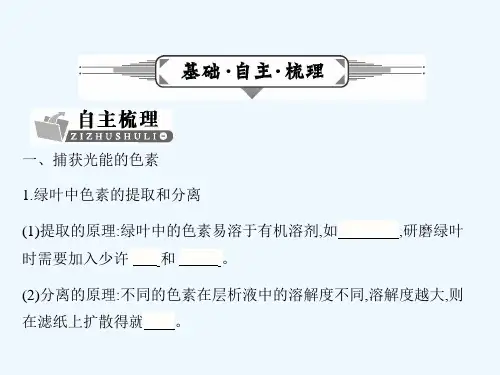 第4节 能量之源——光与光合作用(60张PPT)