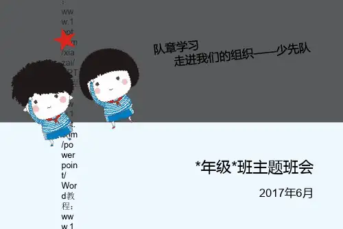 2017最新队章学习课件