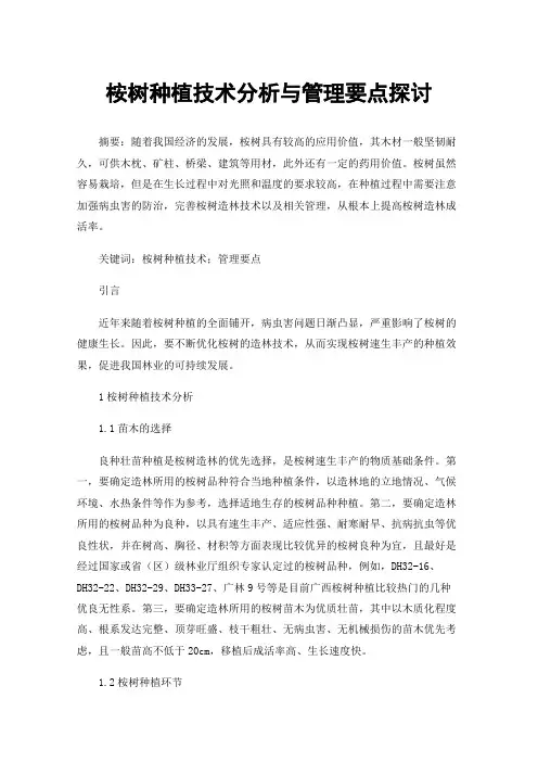 桉树种植技术分析与管理要点探讨