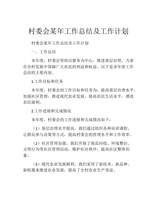 村委会某年工作总结及工作计划
