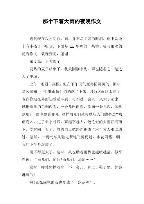 那个下着大雨的夜晚作文