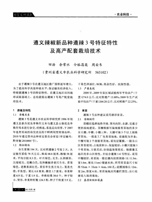 遵义辣椒新品种遵辣3号特征特性及高产配套栽培技术