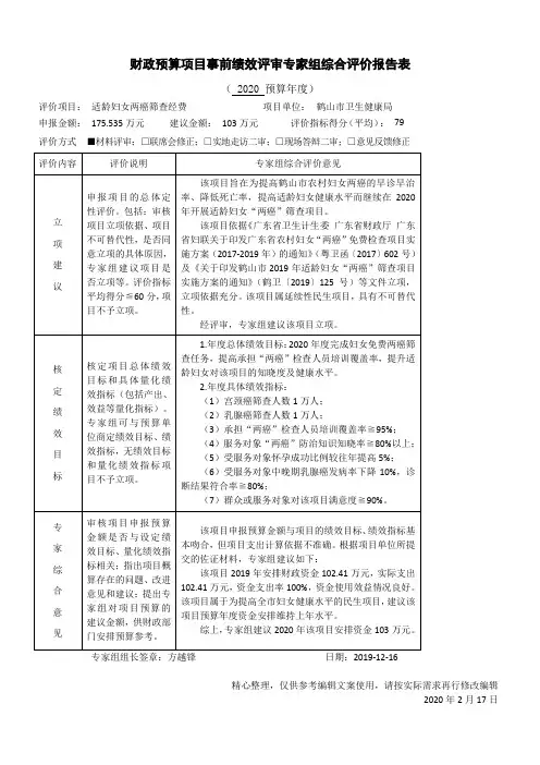 财政预算项目事前绩效评审专家组综合评价报告表