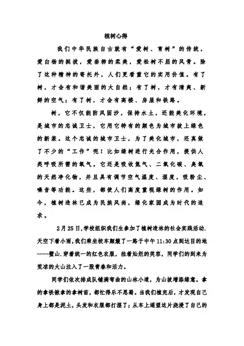 植树心得体会