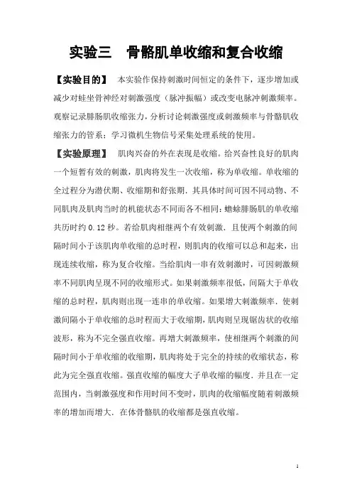 实验三  骨骼肌单收缩和复合收缩