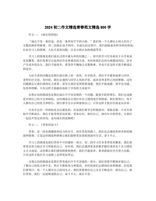 2024初二作文精选青春范文精选800字