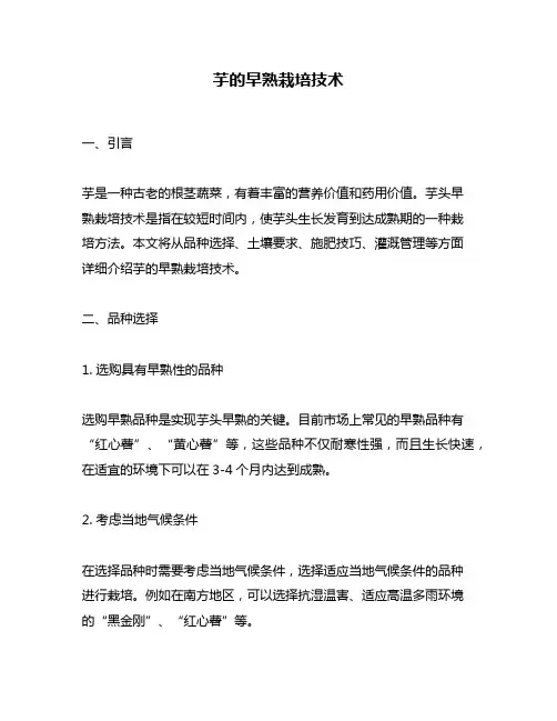 芋的早熟栽培技术