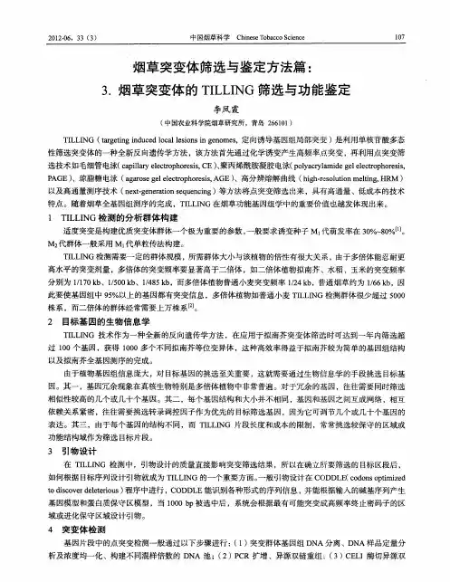 烟草突变体筛选与鉴定方法篇：3.烟草突变体的TILLING筛选与功能鉴定