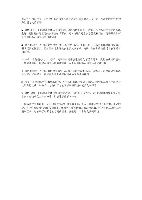 走进小狗的世界：了解他们的行为和沟通方式