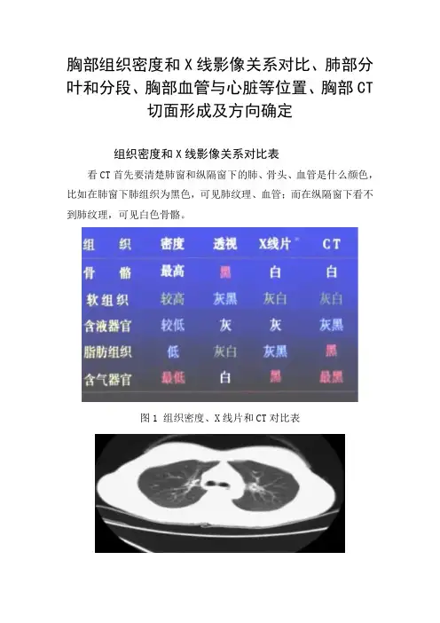 胸部组织密度和X线影像关系对比、肺部分叶和分段、胸部血管与心脏等位置、胸部CT切面形成及方向确定