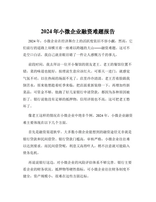 2024年小微企业融资难题报告
