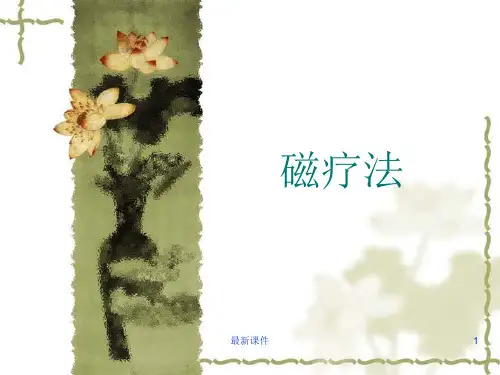 磁疗法ppt课件