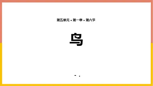 《鸟》PPT优秀课件