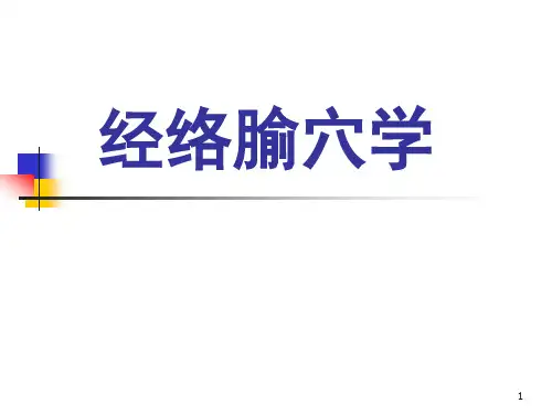 手太阳小肠经穴ppt课件