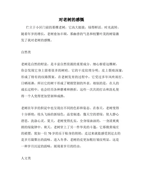 对老树的感慨