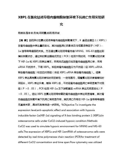 XBP1在氯化钴诱导骨肉瘤细胞缺氧环境下抗凋亡作用实验研究