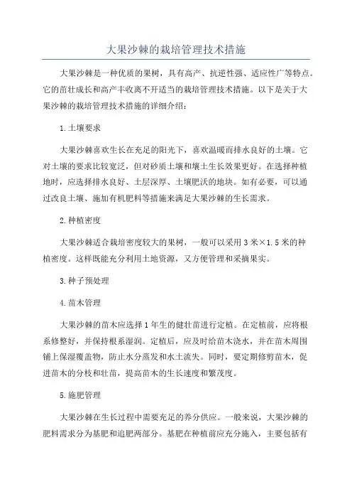 大果沙棘的栽培管理技术措施