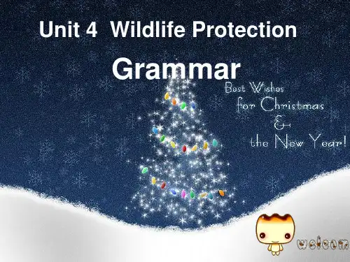高一英语必修2_Unit4_Grammar课件