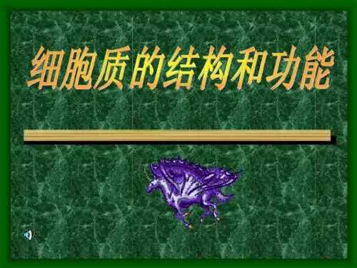 【生物课件】细胞质的结构与功能