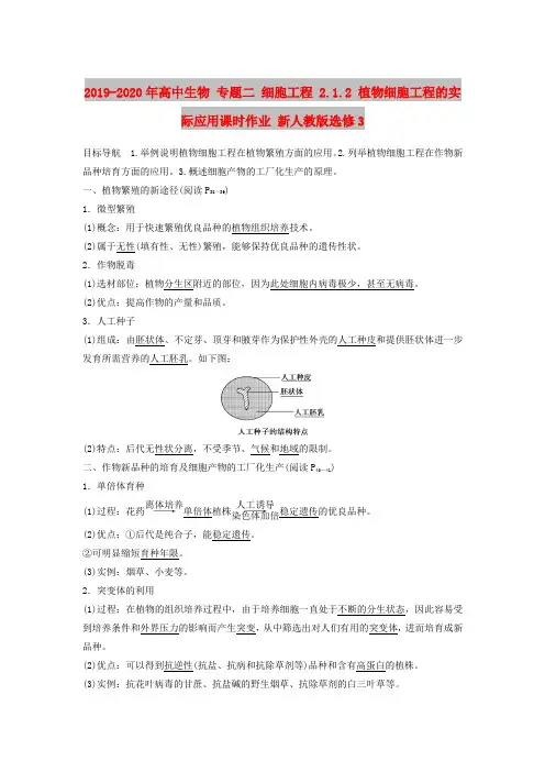 2019-2020年高中生物 专题二 细胞工程 2.1.2 植物细胞工程的实际应用课时作业 新人教版选修3