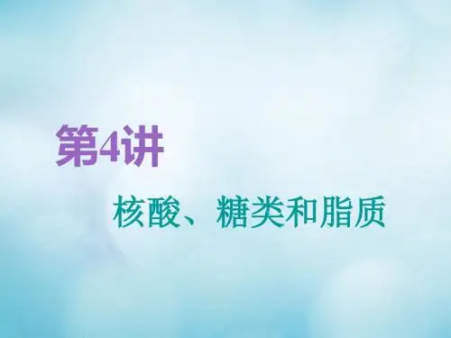 江苏专版2019版高考生物一轮第一单元细胞及其分子组成第4讲核酸糖类和脂质必修1