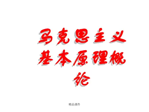 马克思主义基本原理概论第二章最新版