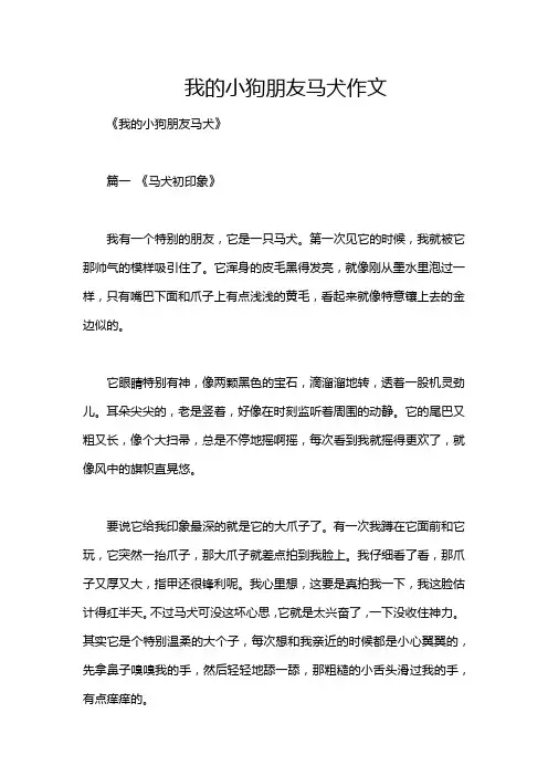 我的小狗朋友马犬作文