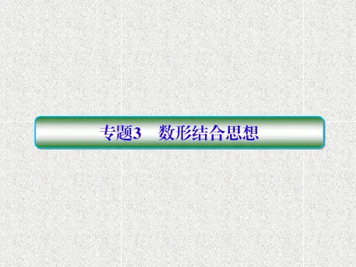 2020届二轮复习   数形结合思想  课件(25张)(全国通用)