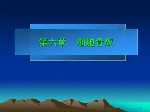 第六章 细胞骨架