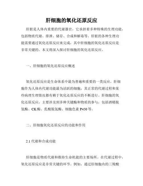 肝细胞的氧化还原反应