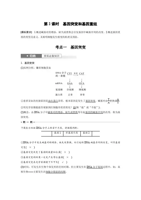 2024届高考一轮复习生物教案(苏教版)：基因突变和基因重组
