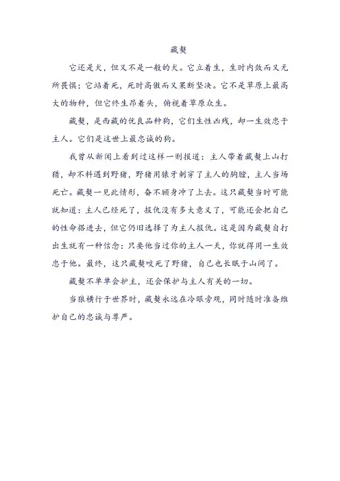 描写藏獒的作文 200个字