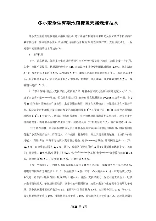 冬小麦全生育期地膜覆盖穴播栽培技术