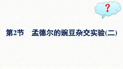 人教版高中生物学必修2精品课件 第1章 第2节 第1课时 孟德尔的两对相对性状杂交实验 (2)