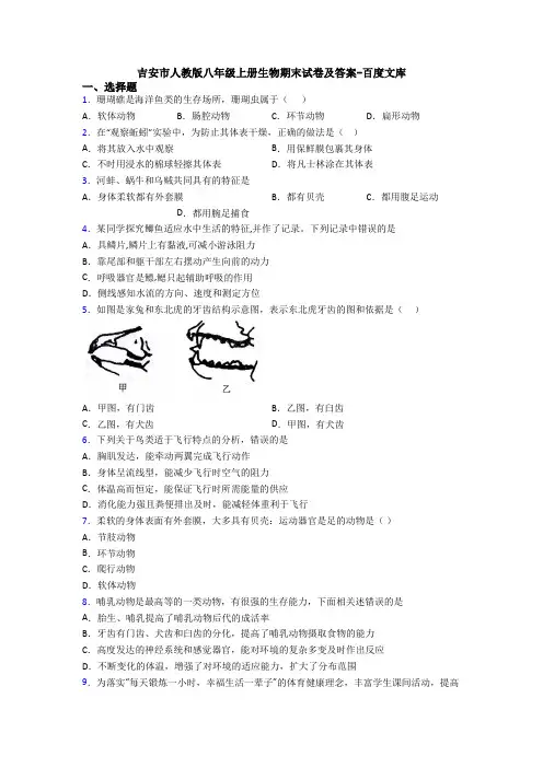 吉安市人教版八年级上册生物期末试卷及答案-百度文库