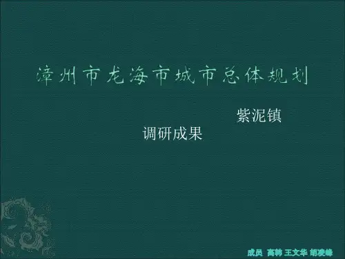 漳州市龙海市城市总体规划
