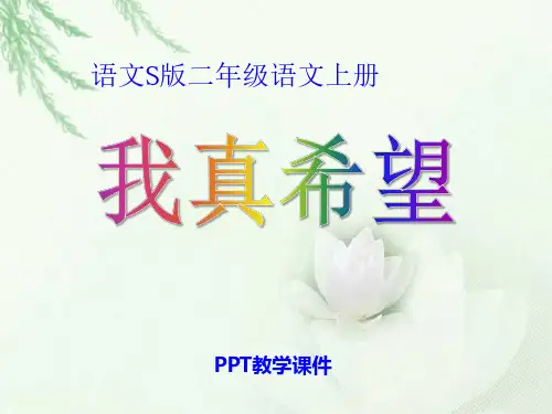 《我真希望》(1)PPT课件