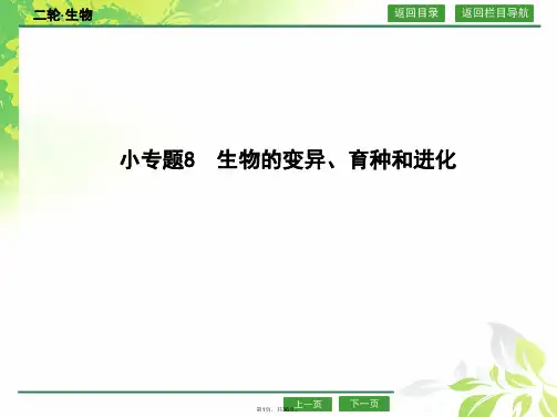 2016届高考生物二轮专题配套ppt课件：3.8生物的变异-育种和进化