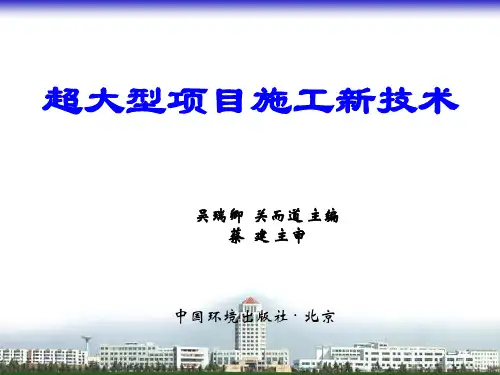 超大型项目施工新技术1.pptx