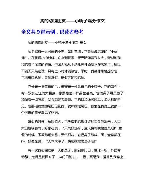 我的动物朋友——小鸭子满分作文
