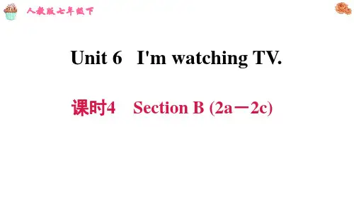 七年级英语下 Unit 6  课时4 Section B (2a-2c)