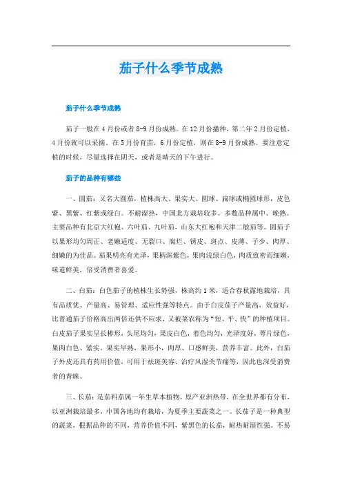 茄子什么季节成熟