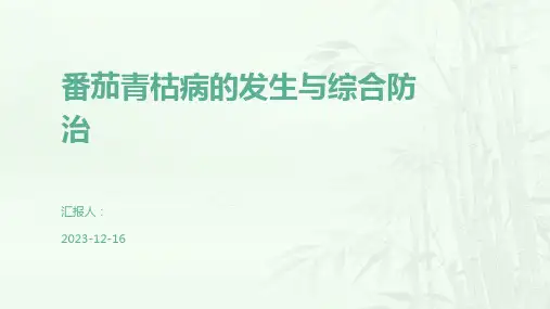 番茄青枯病的发生与综合防治