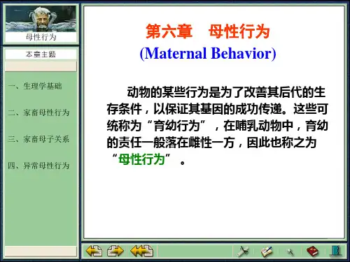 06第六章_母性行为