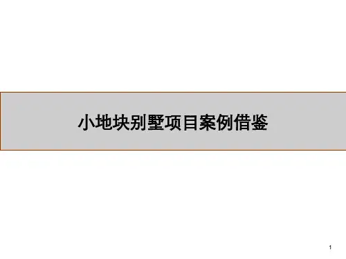 20100721_别墅产品打造建议