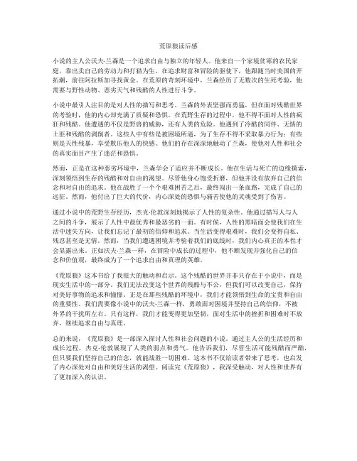 荒原狼读后感